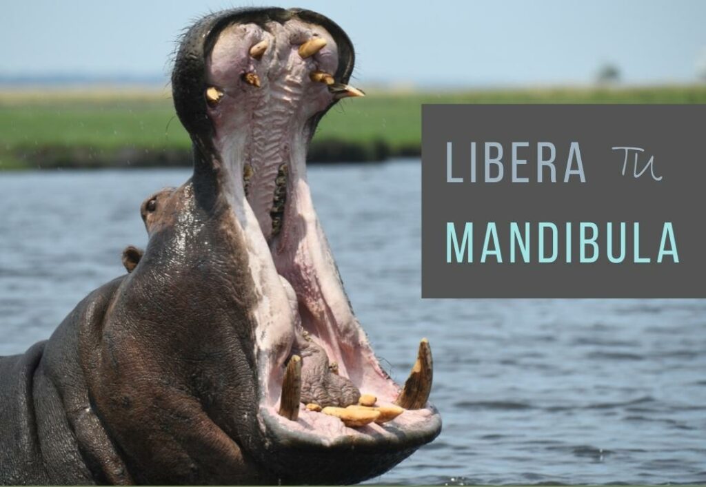 taller libera tu mandibula